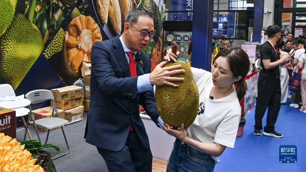 天9国际官网