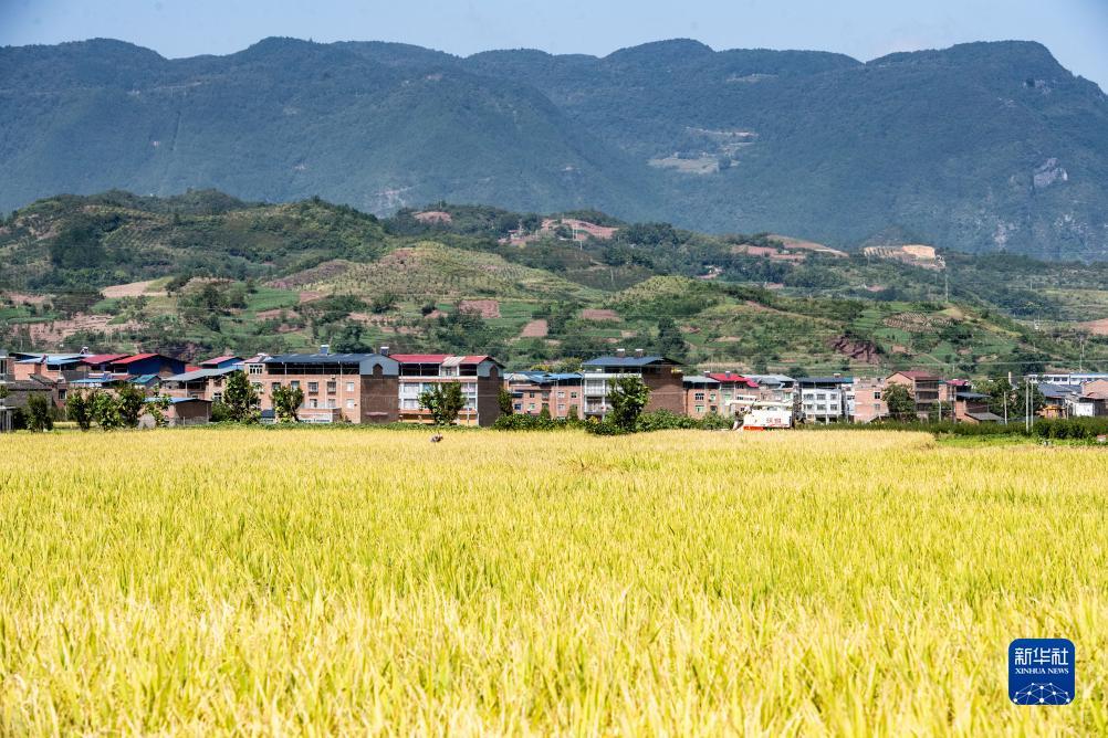 新银河下载